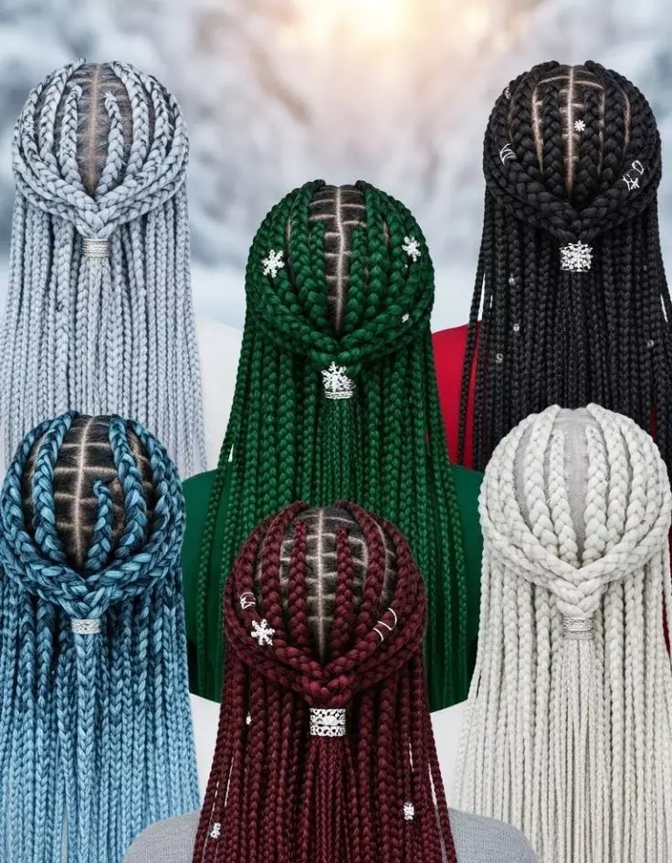 Winter Braid Hair Colors