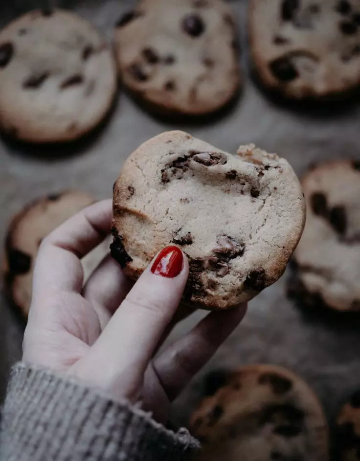Brown Butter Chocolate Chip Cookies Audreysaurus