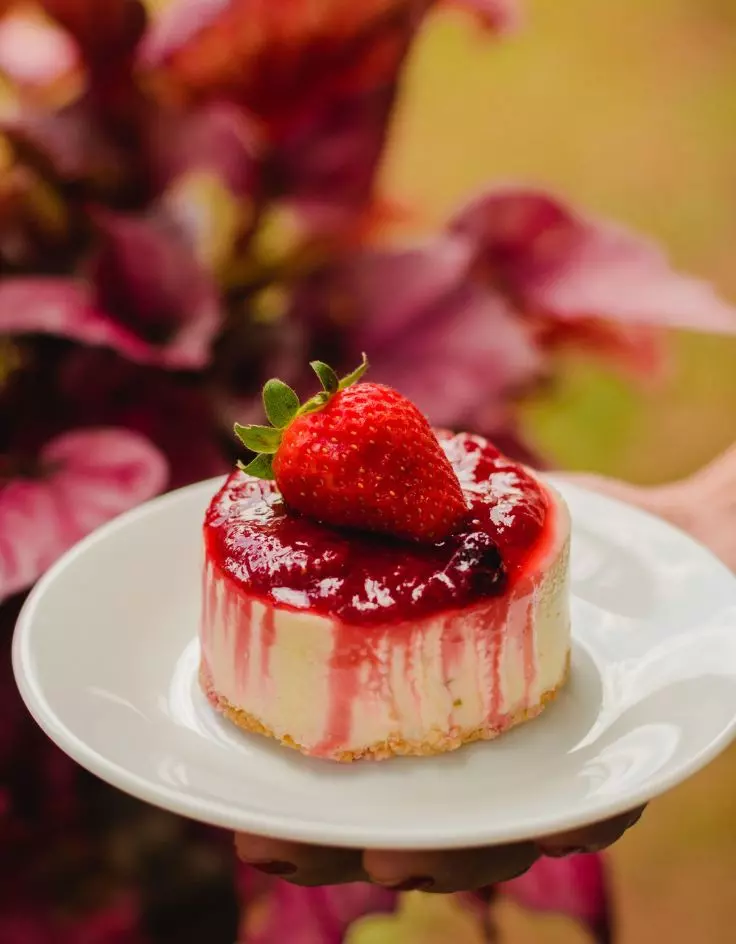 No Bake Cheesecake Tub