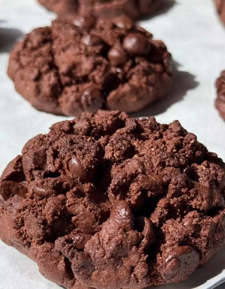 Chocolate Chip Cookie Dough