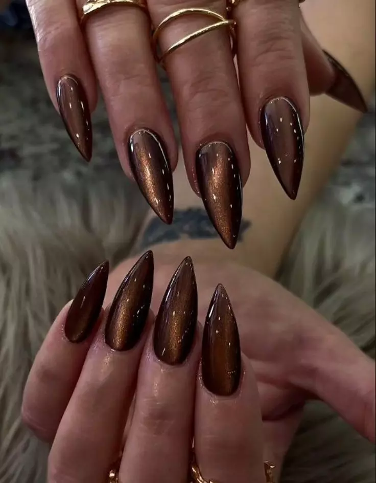 Brown Cat Eye Nails