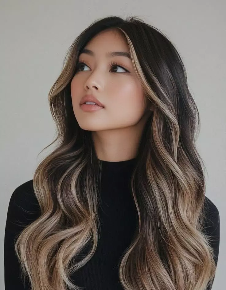 Black and Brown Balayage Hair