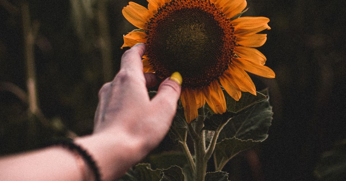 Brightening Up Your Beauty Routine: A Comprehensive Guide to Sunflower Nails