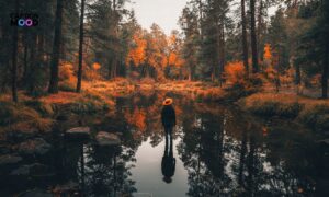 Nature Captions for Instagram