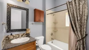 Shower Curtain